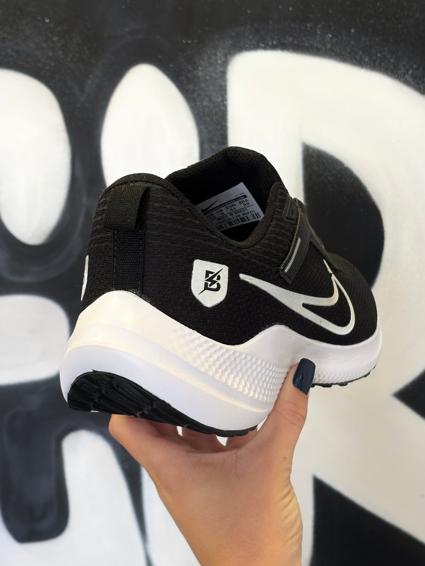PEGASUS 40