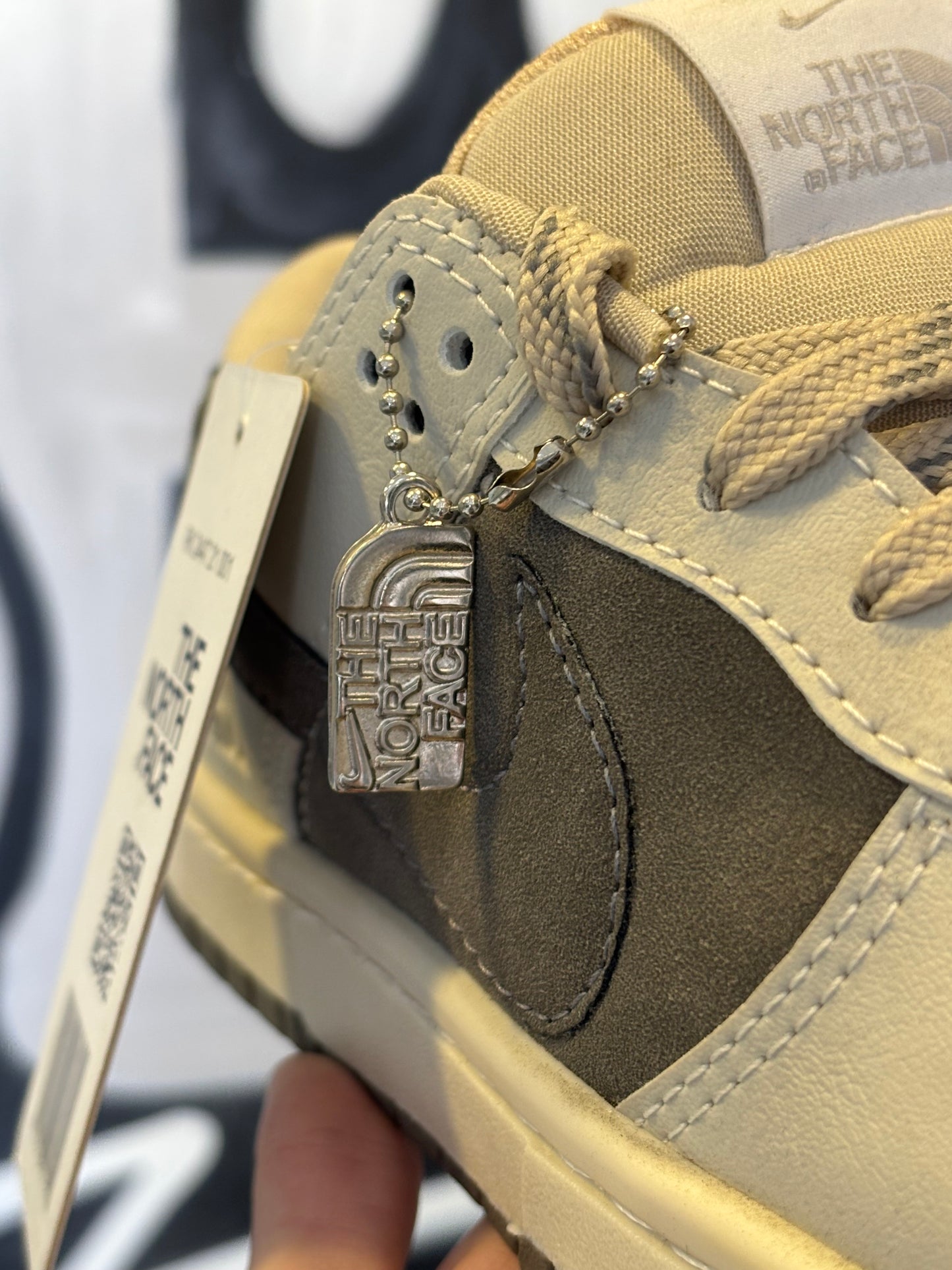 NIKE DUNK LOW THE NORTH FACE